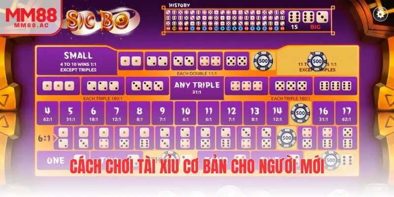 Cách chơi tài xỉu cơ bản cho người mới