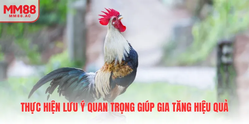 Thực hiện lưu ý quan trọng giúp gia tăng hiệu quả