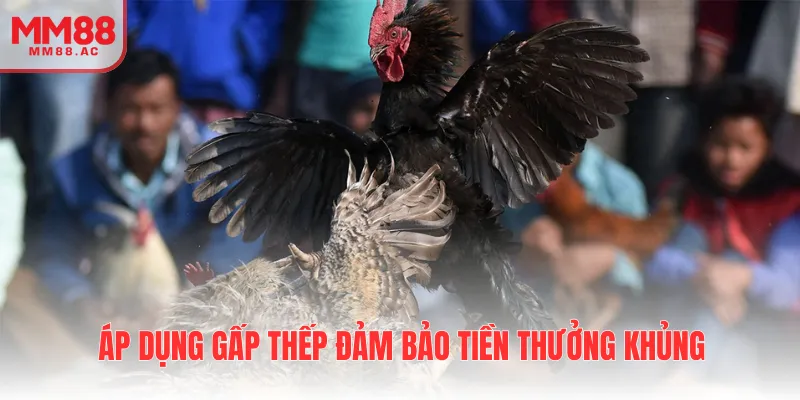Áp dụng gấp thếp đảm bảo tiền thưởng khủng