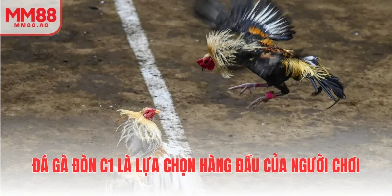 Đá gà đòn C1 là lựa chọn hàng đầu của người chơi