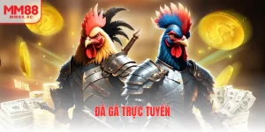 đá gà trực tuyến