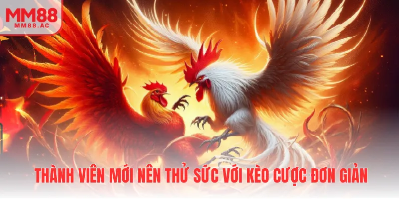 Thành viên mới nên thử sức với kèo cược đơn giản