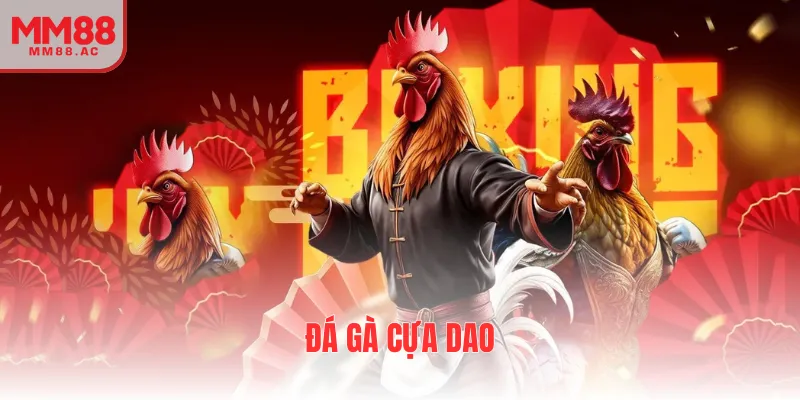 Đá gà cựa dao