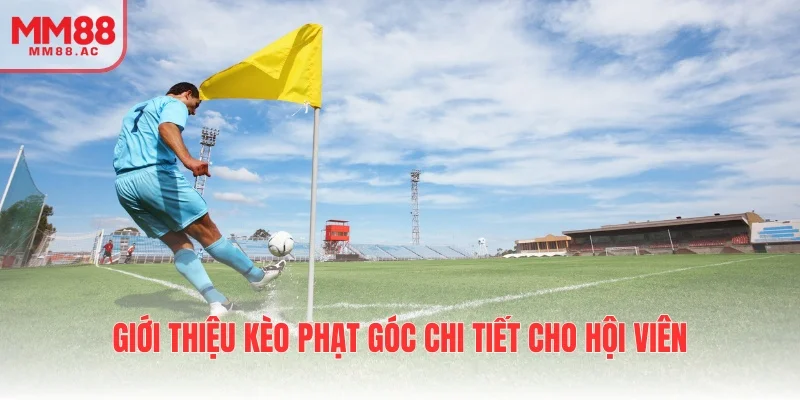 Giới thiệu kèo phạt góc chi tiết cho hội viên