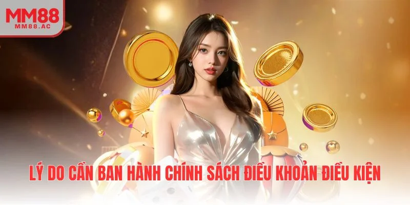 Lý do cần ban hành chính sách điều khoản điều kiện