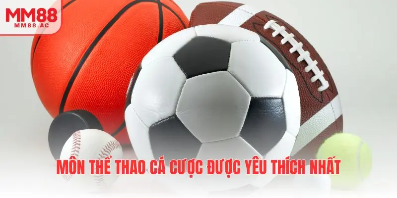 Tổng hợp các môn thể thao được yêu thích nhất tại chuyên mục